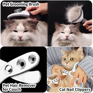 Cat Accessories