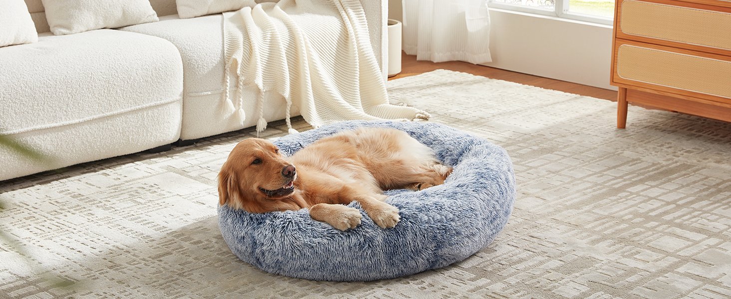 blue dog bed