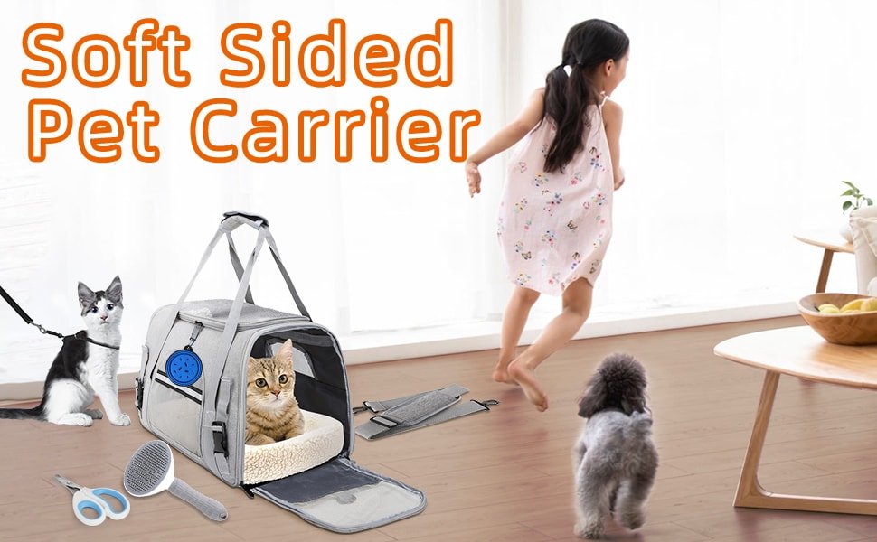 cat carrier airline approved