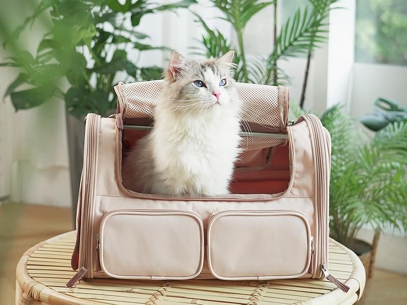 cat bag