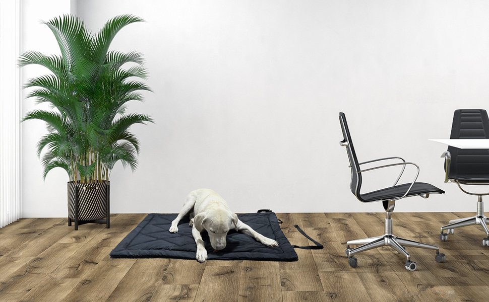 travel dog bed for office sofa car