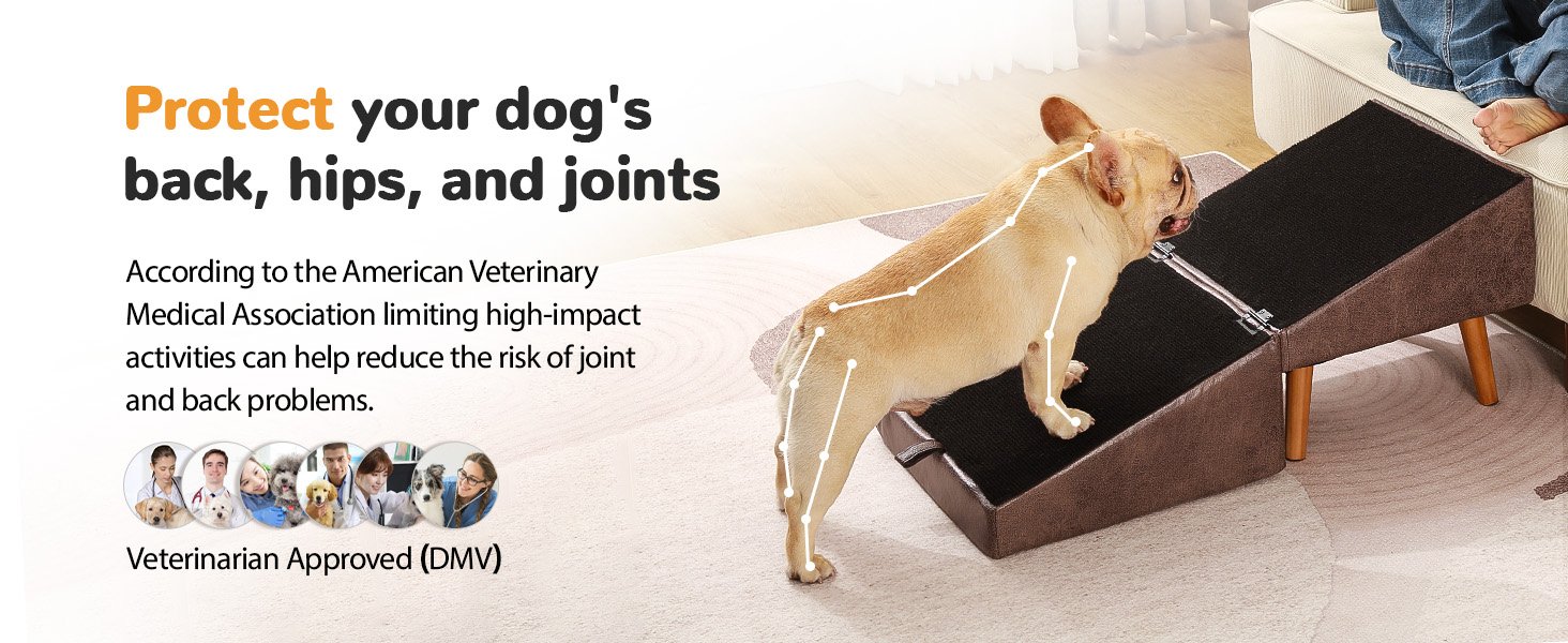dog ramp for couch