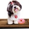 Dog Beds Crate Pad for Medium/Large Dogs Fit Metal,Ultra Soft, Washable & Anti-Slip Kennel Pad for Dogs Cozy Sleeping Mat