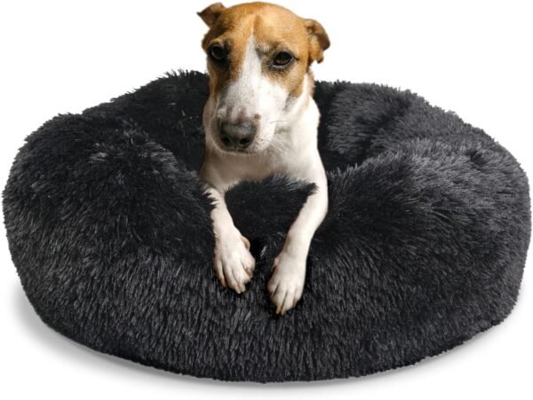 Small Calming Dogs Bed for Small Dogs Anti-Anxiety Machine Washable Fluffy Luxury Anti-Slip Waterproof Mute Base Warming Cozy Soft Pet Puppy Round Bed