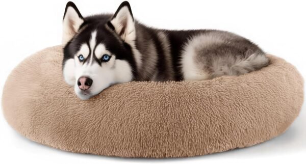 Dog & Cat Bed for Indoor Cats, 20in Calming Donut Bed for Puppy and Kitten, Washable Round Fluffy Pet Bed for Small Medium Dogs and Cats (Light Grey)