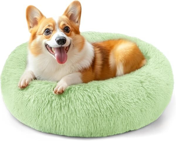 Dog & Cat Bed for Indoor Cats, 20in Calming Donut Bed for Puppy and Kitten, Washable Round Fluffy Pet Bed for Small Medium Dogs and Cats (Light Grey)
