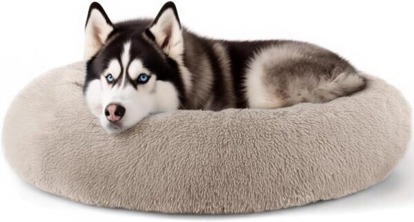 Dog & Cat Bed for Indoor Cats, 20in Calming Donut Bed for Puppy and Kitten, Washable Round Fluffy Pet Bed for Small Medium Dogs and Cats (Light Grey)