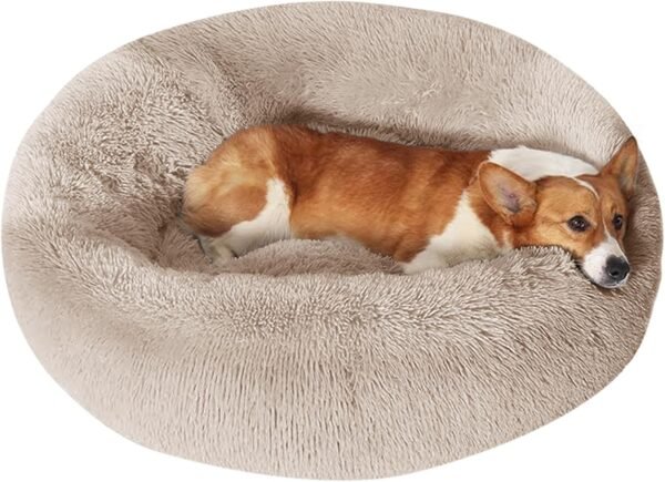 Dog & Cat Bed, Calming Anti-Anxiety Pet Bed for Small Dogs, Fluffy Donut Cushion for Small and Medium Pets