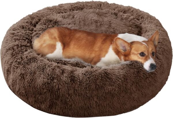 Dog & Cat Bed, Calming Anti-Anxiety Pet Bed for Small Dogs, Fluffy Donut Cushion for Small and Medium Pets