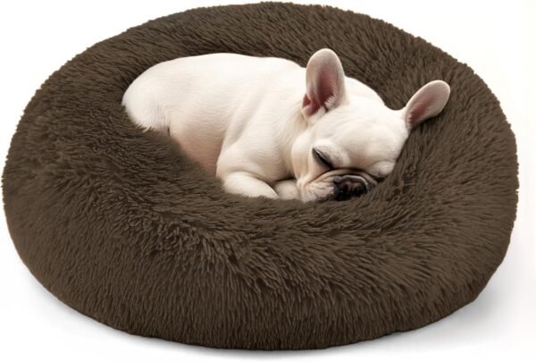 Dog & Cat Bed for Indoor Cats, 20in Calming Donut Bed for Puppy and Kitten, Washable Round Fluffy Pet Bed for Small Medium Dogs and Cats (Light Grey)