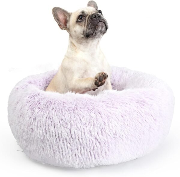 Small Calming Dogs Bed for Small Dogs Anti-Anxiety Machine Washable Fluffy Luxury Anti-Slip Waterproof Mute Base Warming Cozy Soft Pet Puppy Round Bed