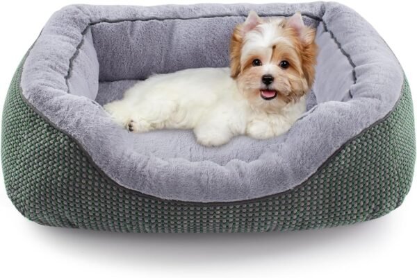 Medium Dog Beds for Medium Dogs Washable, Rectangle Dog Bed Medium Size Dog, Orthopedic Dog Bed, Warming Soft Calming Sleeping Puppy Bed Durable Pet Bed with Anti-Slip Bottom