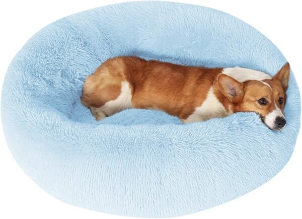 Dog & Cat Bed, Calming Anti-Anxiety Pet Bed for Small Dogs, Fluffy Donut Cushion for Small and Medium Pets