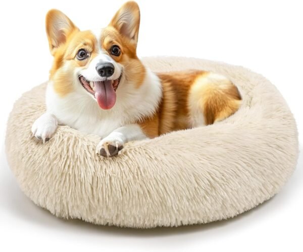 Dog & Cat Bed for Indoor Cats, 20in Calming Donut Bed for Puppy and Kitten, Washable Round Fluffy Pet Bed for Small Medium Dogs and Cats (Light Grey)