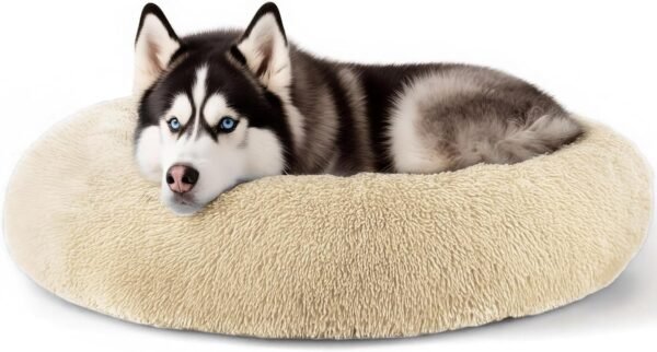 Dog & Cat Bed for Indoor Cats, 20in Calming Donut Bed for Puppy and Kitten, Washable Round Fluffy Pet Bed for Small Medium Dogs and Cats (Light Grey)