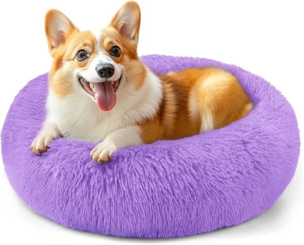 Dog & Cat Bed for Indoor Cats, 20in Calming Donut Bed for Puppy and Kitten, Washable Round Fluffy Pet Bed for Small Medium Dogs and Cats (Light Grey)