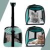 Cat Carrying Case Pet Dog Carrier Soft-Sided Cat Bag Airline Approved, Pet Travel Carrier Up to 15 Lbs, Collapsible Cats Carrier Dog Carrier for Medium Small Cats Dogs(17x11x11 Green)