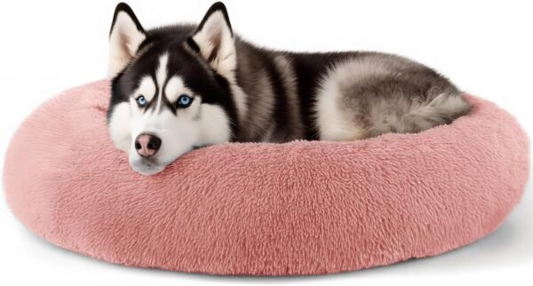 Dog & Cat Bed for Indoor Cats, 20in Calming Donut Bed for Puppy and Kitten, Washable Round Fluffy Pet Bed for Small Medium Dogs and Cats (Light Grey)
