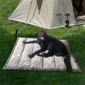 camping dog bed foldable