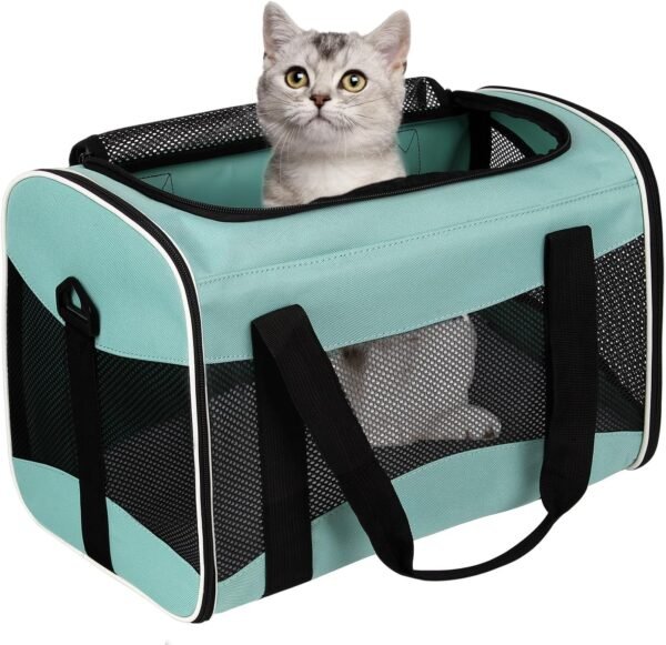 Cat Carrying Case Pet Dog Carrier Soft-Sided Cat Bag Airline Approved, Pet Travel Carrier Up to 15 Lbs, Collapsible Cats Carrier Dog Carrier for Medium Small Cats Dogs(17x11x11 Green)