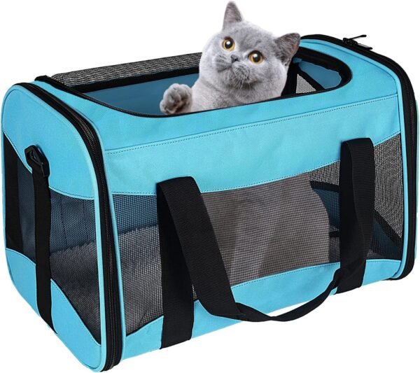 Cat Carrying Case Pet Dog Carrier Soft-Sided Cat Bag Airline Approved, Pet Travel Carrier Up to 15 Lbs, Collapsible Cats Carrier Dog Carrier for Medium Small Cats Dogs(17x11x11 Green)