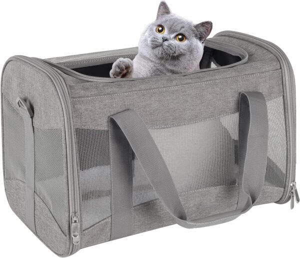 Cat Carrying Case Pet Dog Carrier Soft-Sided Cat Bag Airline Approved, Pet Travel Carrier Up to 15 Lbs, Collapsible Cats Carrier Dog Carrier for Medium Small Cats Dogs(17x11x11 Green)