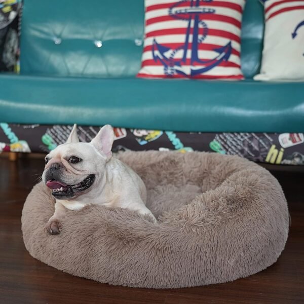 Small Calming Dogs Bed for Small Dogs Anti-Anxiety Machine Washable Fluffy Luxury Anti-Slip Waterproof Mute Base Warming Cozy Soft Pet Puppy Round Bed