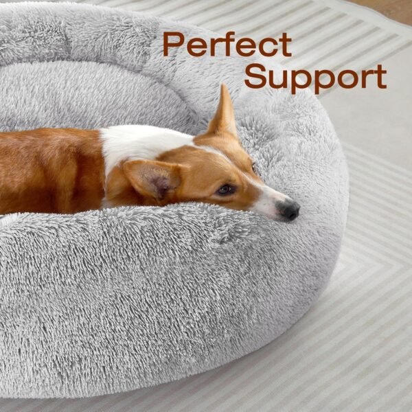 Dog & Cat Bed, Calming Anti-Anxiety Pet Bed for Small Dogs, Fluffy Donut Cushion for Small and Medium Pets