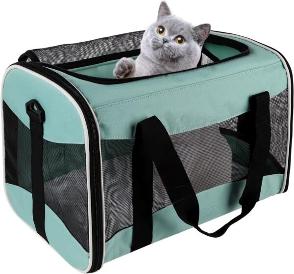 Cat Carrying Case Pet Dog Carrier Soft-Sided Cat Bag Airline Approved, Pet Travel Carrier Up to 15 Lbs, Collapsible Cats Carrier Dog Carrier for Medium Small Cats Dogs(17x11x11 Green)