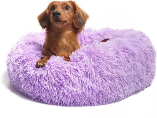 Small Calming Dogs Bed for Small Dogs Anti-Anxiety Machine Washable Fluffy Luxury Anti-Slip Waterproof Mute Base Warming Cozy Soft Pet Puppy Round Bed