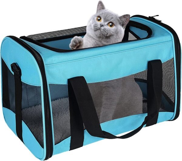 Cat Carrying Case Pet Dog Carrier Soft-Sided Cat Bag Airline Approved, Pet Travel Carrier Up to 15 Lbs, Collapsible Cats Carrier Dog Carrier for Medium Small Cats Dogs(17x11x11 Green)