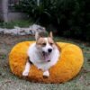 Small Calming Dogs Bed for Small Dogs Anti-Anxiety Machine Washable Fluffy Luxury Anti-Slip Waterproof Mute Base Warming Cozy Soft Pet Puppy Round Bed