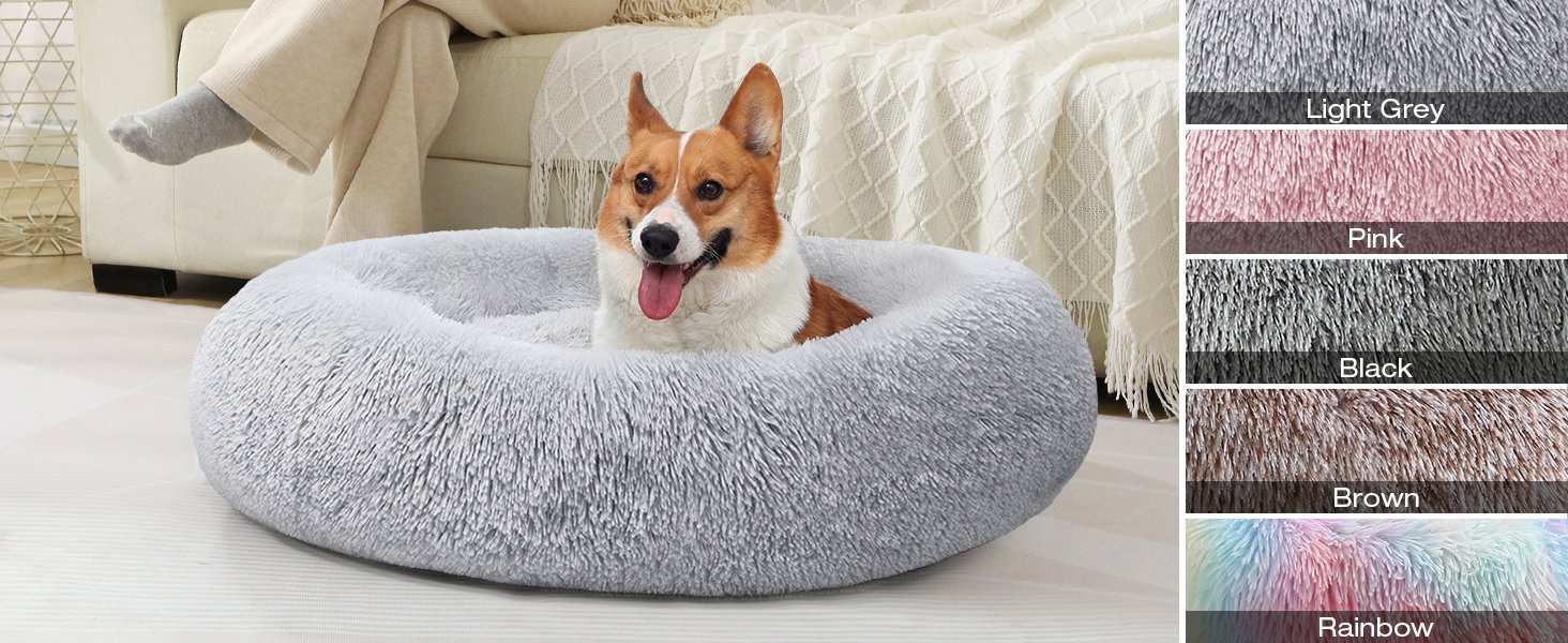 small dog bed