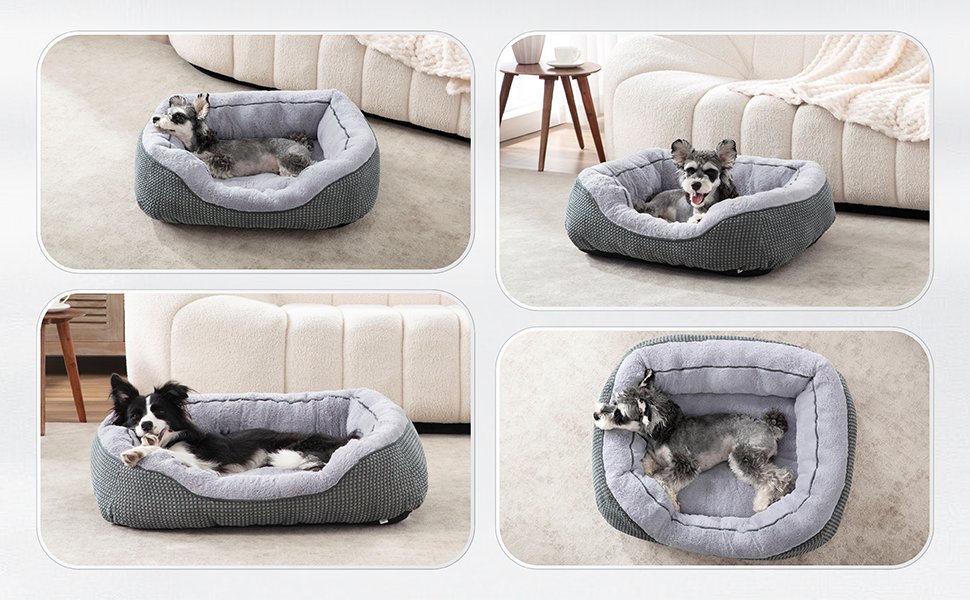 large dog bed