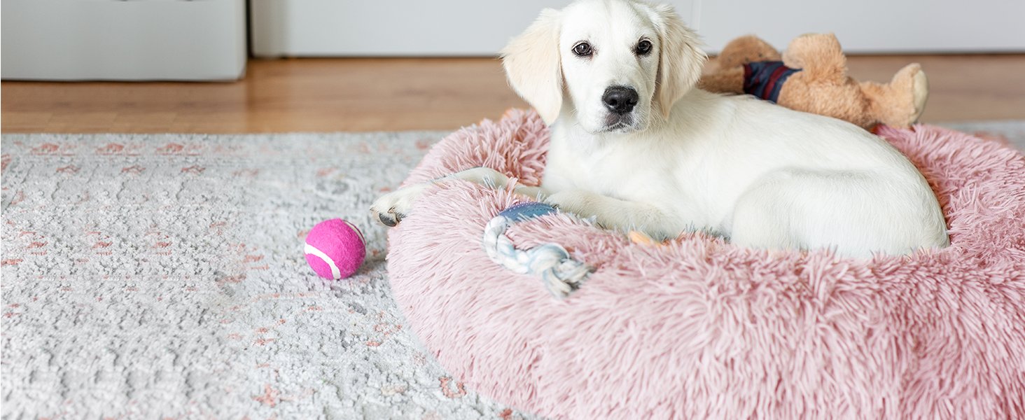 small dog bed