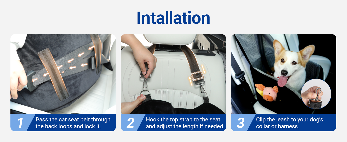 easy setup dog car seat