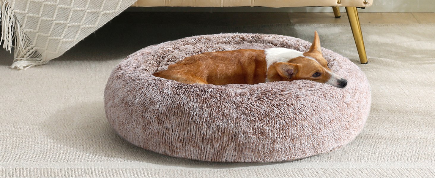 small dog bed